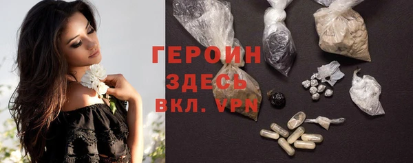 прущие грибы Бородино
