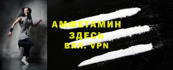 прущие грибы Бородино