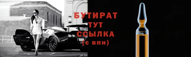 прущие грибы Бородино