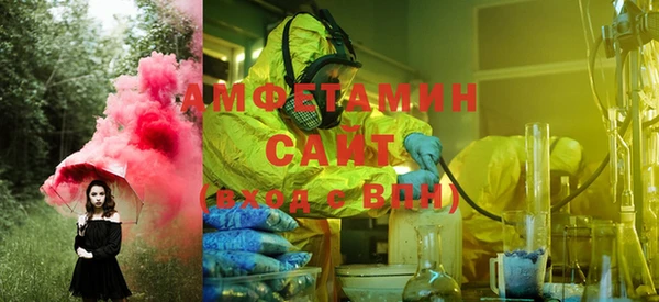 прущие грибы Бородино