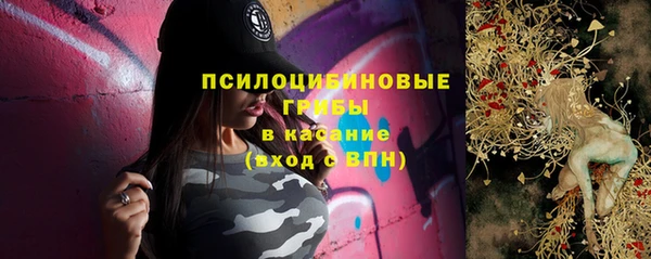 дживик Гатчина