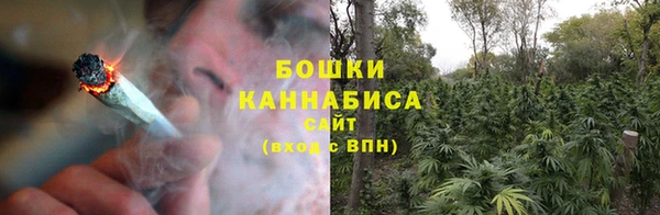 прущие грибы Бородино